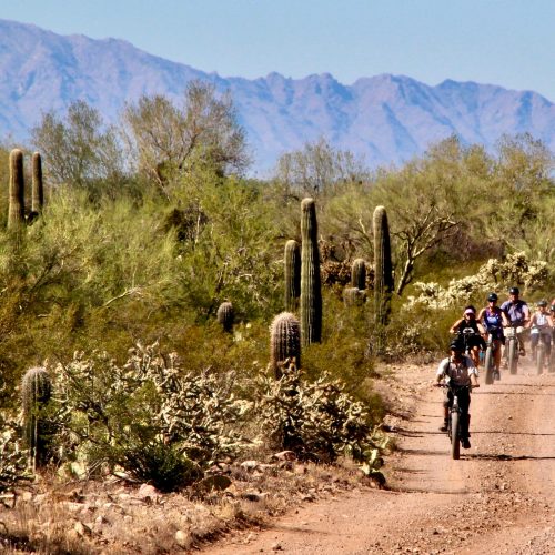 White Stallion Ranch, Tucson_credit White Stallion Ranch