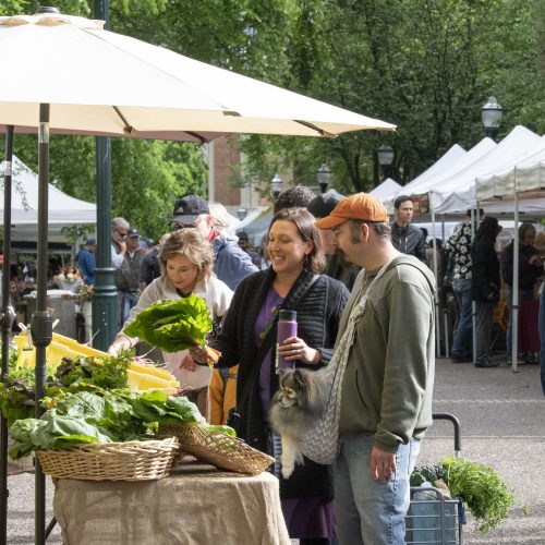 Portland's Saturday farmers market in Park blocks, downtown Portland, Oregon